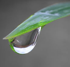 water drop