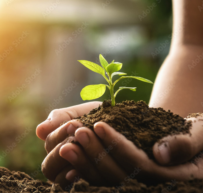 Sosteniendo una planta